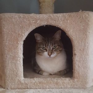 Meet your Posher, Sharon